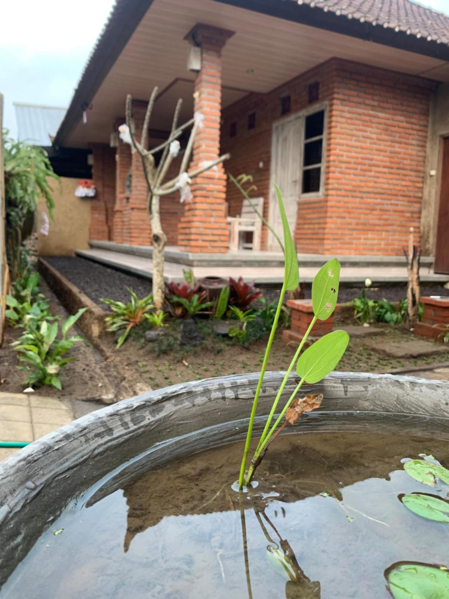 Ambara Guest House Tampaksiring Esterno foto